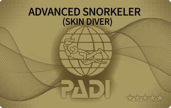 PADI アドヴァンスド・スノーケラー・コース（Skin Diver）
