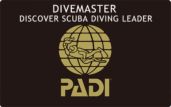 PADI ダイブマスター・ディスカバー・スクーバ・ダイビング・リーダー・コース（DSD Leader）