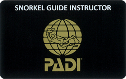 PADI スノーケル・ガイド・インストラクター・コース
