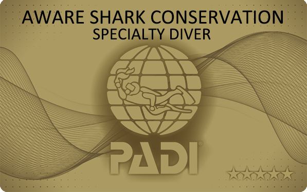 PADI AWAREサメの保護・ダイバー・スペシャルティ・コース
