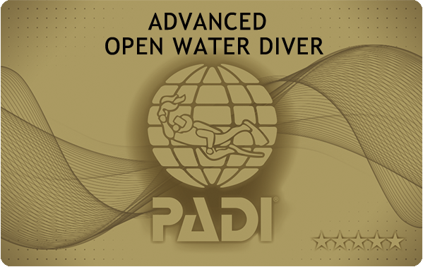 PADIアドヴァンスド・オープン・ウォーター・ダイバー・コース（AOW）