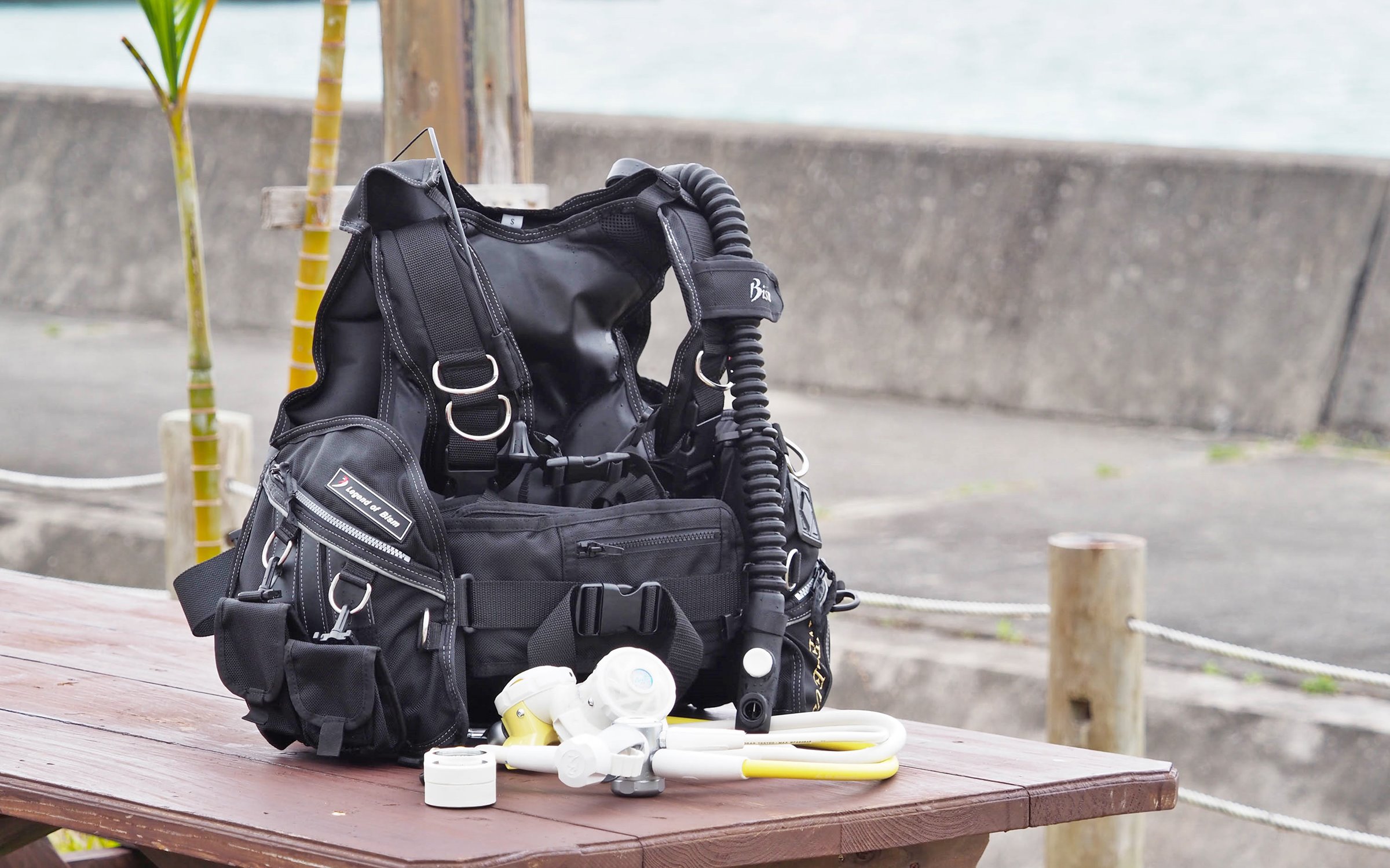 あなたもダイビングのプロを目指してみませんか？