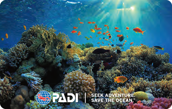 PADI アニバーサリーカード(サンゴ)