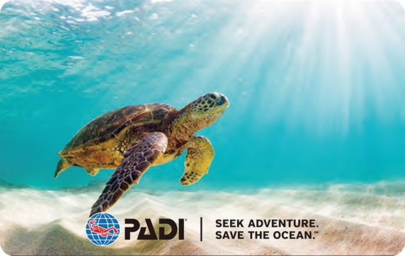 PADI アニバーサリーカード（ウミガメ）