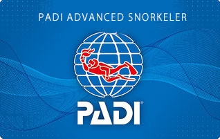 PADI アドヴァンスド・スノーケラー・コース（Skin Diver）