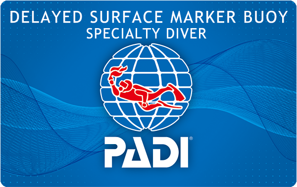 PADI ディレイド・サーフェス・マーカー・ブイ・ダイバー・スペシャルティ・コース