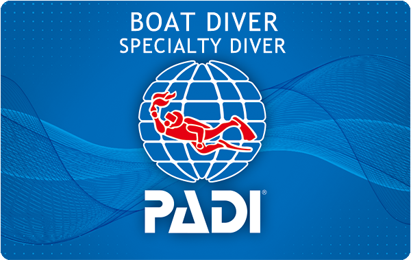 PADIボート・ダイバー・スペシャルティ・コース（BDS）