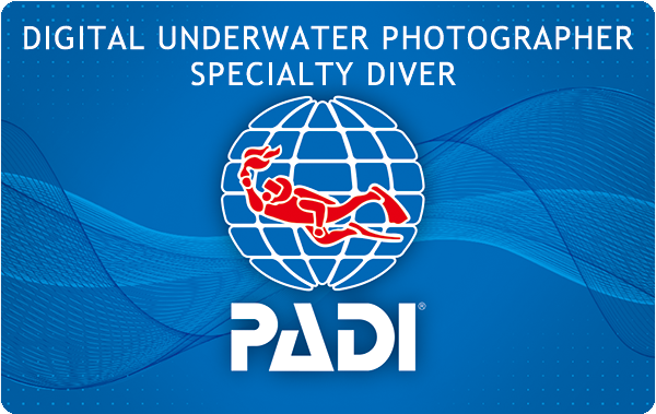 PADI デジタル・アンダーウォーター・フォトグラファー・スペシャルティ・コース