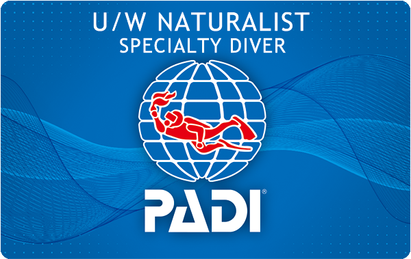 PADI 水中・ナチュラリスト・スペシャルティ・コース