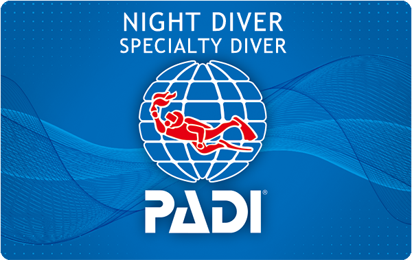 PADIナイト・ダイバー・スペシャルティ・コース（NDS）