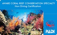 PADI AWAREサンゴ礁の保護・スペシャルティ・コース