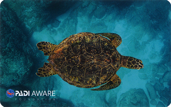 PADI Project AWARE・スペシャルティ・コース