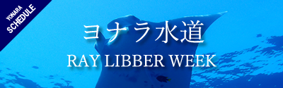 ヨナラ水道RAY LIBBER WEEK