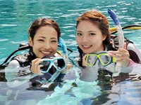 PADIスクーバダイバー・コース