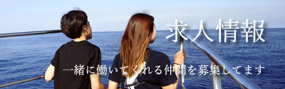 石垣島マリン系ダイビング求人情報