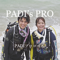 PADIプロコース