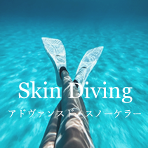 スキンダイビング