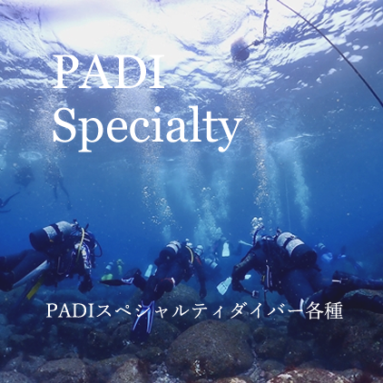 PADIスペシャルティ